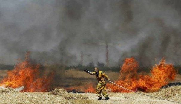 حرائق بمستوطنة بـ"غلاف غزة" بفعل بالونات حارقة