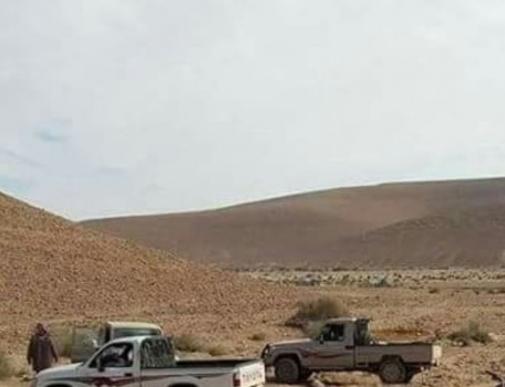 مقتل 46 مسلحا في سيناء