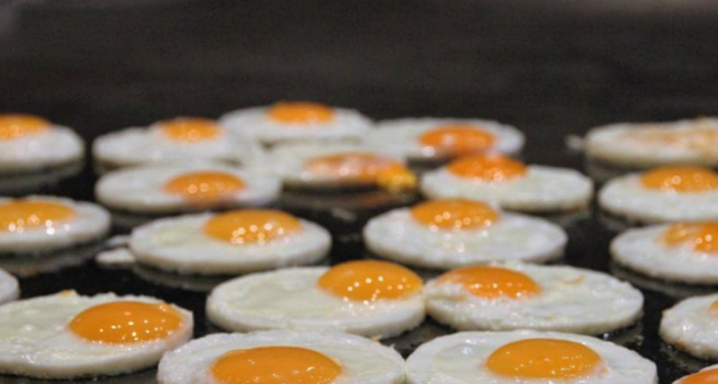 دراسة تحسم 'مخاطر البيض'