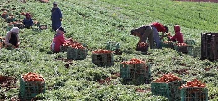 اتحاد المزارعين بالضفة يتهم المالية بجباية ضرائب "غير مُبرّرة"