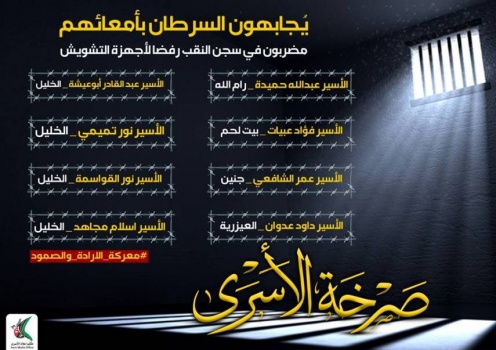 أسرى بسجن "النقب" يشرعون بإضراب مفتوح عن الطعام