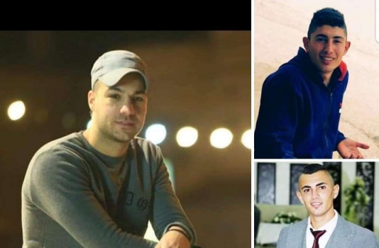 الاحتلال يعتقل شقيقين من كفر دان وشابا من مخيم جنين