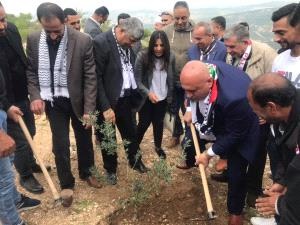 جنين: إحياء يوم الأرض بشق طرق زراعية وزراعة أشتال زيتون جنوب جنين