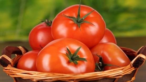 خبير: لا اتوقع انخفاض اسعار الخضروات
