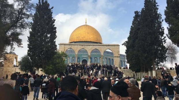 إرشادات وتحذيرات هامة للمصلين في الأقصى اليوم الجمعة