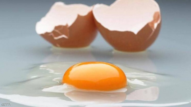 البيض وقوة النظر.. دراسة تكشف 'النفع الكبير'