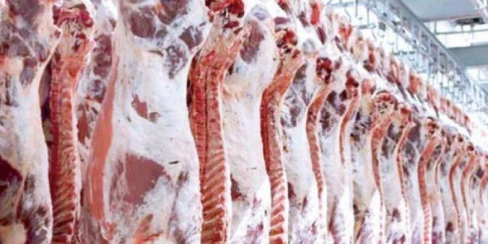 بالصور.. وصول قافلة لحوم من السعودية محملة بـ 25 ألف ذبيحة الى غزة