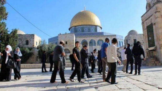 رغم المعتكفين .. مستوطنون يستأنفون اقتحاماتهم للأقصى