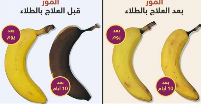 طلاء 'ثوري' صالح للأكل يحفظ الخضروات والفواكه