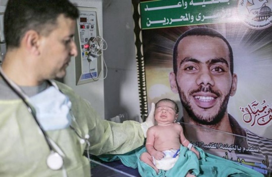 ارتفاع عدد أطفال النطف المهربة من السجون إلى 74