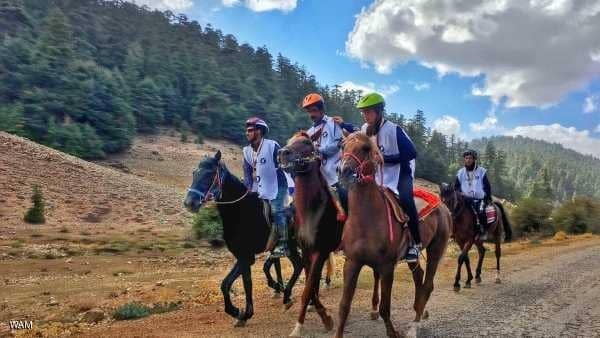 أنظف مدينة عربية" تستضيف "أغاني الأرز"
