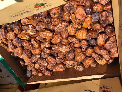 الضابطة الجمركية والأمن الوقائي يضبطان  2 طن من المواد الفاسدة والمنتهية الصلاحية في محافظة الخليل