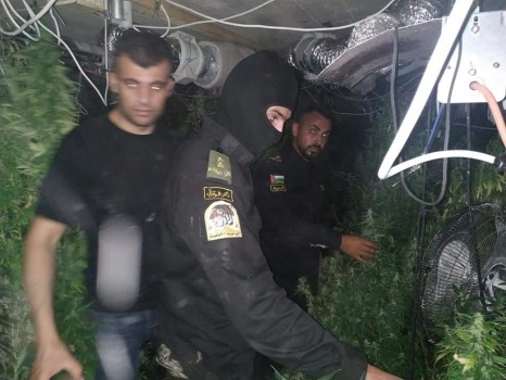 صور...ضبط مشتل مخدرات ضخم في الخليل