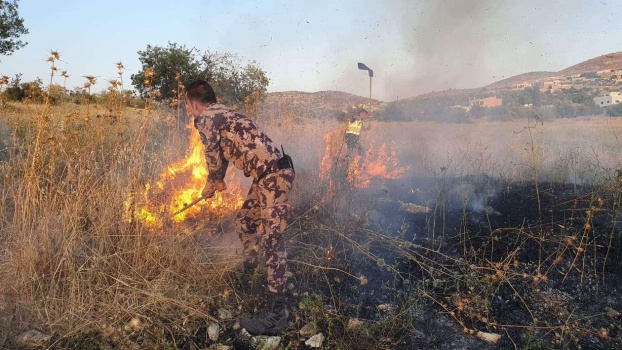 صور...الحرائق تلتهم أكثر من 120 شجرة زيتون في محافظة جنين
