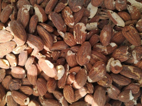صور...الضابطة الجمركية تضبط 5 أطنان لوز غير صالح للاستهلاك الآدمي في محافظة جنين