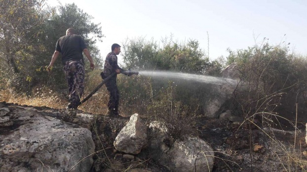 صور...اخماد 18 حريقا اتت على اكثر من 130 شجرة زيتون مثمر في محافظة جنين