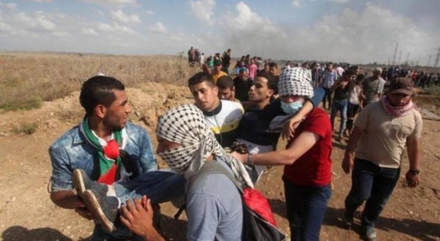 36 إصابة برصاص الاحتلال شرق قطاع غزة