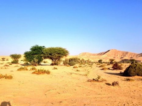 21 حزيران: أطول نهار وأقصر ليلة في السنة