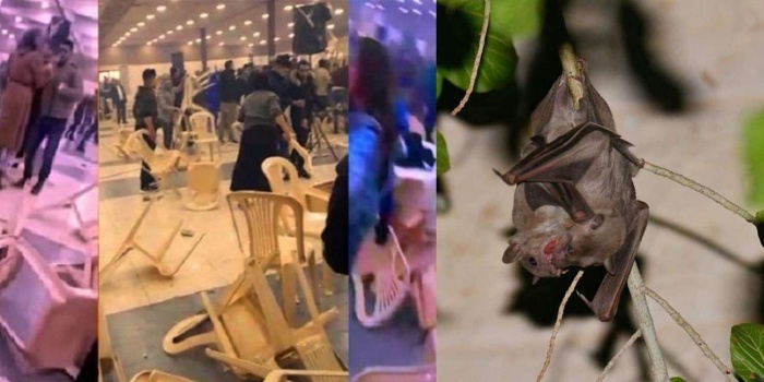 ما قصة "طائر خفاش" المخيف الذي ظهر في احد الأفراح وقلبه رأسا على عقب بمدينة الخليل؟؟