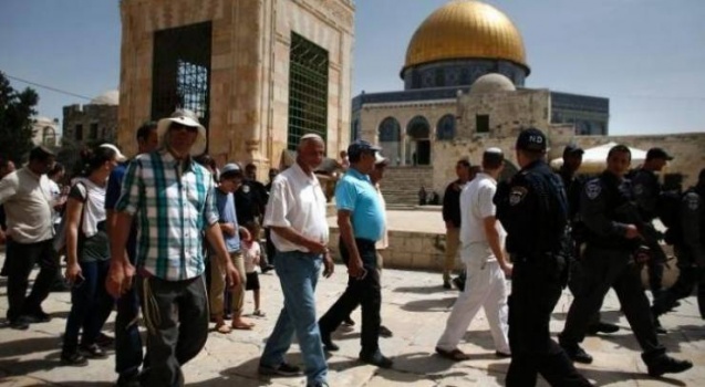 جماعات الهيكل' تدعو لاقتحامات واسعة للأقصى غدا
