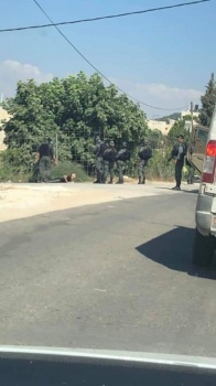 الإحتلال يحتجز شابا وفتى من قباطية جنوب جنين