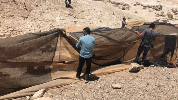 الشرطة والاستخبارات العسكريه يضبطان مشتلا للمخدرات قيد التجهيز في بيت لحم