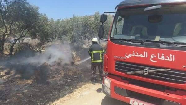 خلال موجة الحرارة - 10 حرائق كل ساعة بسبب الإهمال في الضفة