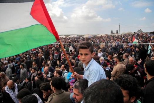 إحصائية: الذكور أكثر من الإناث في فلسطين