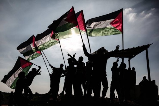 سيناتور بلجيكي: السلام بالعالم يبدأ بحل قضية فلسطين
