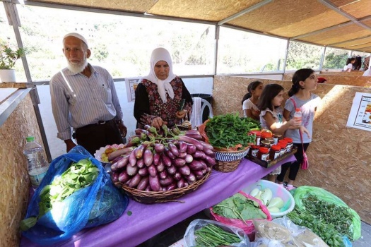 صور...افتتاح مهرجان الباذنجان البتيري