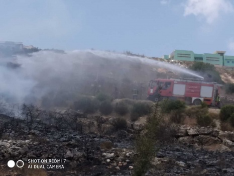 صور...إخماد حريق طال ١٤٠ شجرة في قرية الطيبة غرب جنين