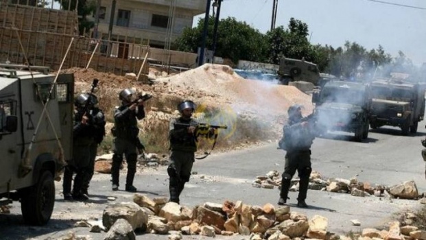 الاحتلال يعتدي على فعالية سلمية شمال البحر الميت
