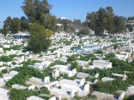 ما هي أبرز 10 أسباب للوفاة في فلسطين؟