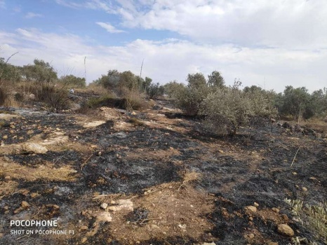 الدفاع المدني يخمد 6 حرائق في محافظة جنين