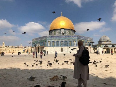 أبو أيمن.. رجلٌ تعرفه قططُ الأقصى جيداً