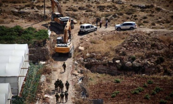 الجدار والاستيطان' تستعيد 207 دونمات من سلفيت