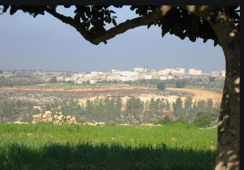 قرار بتجديد الاستيلاء على 190 دونما في عناتا