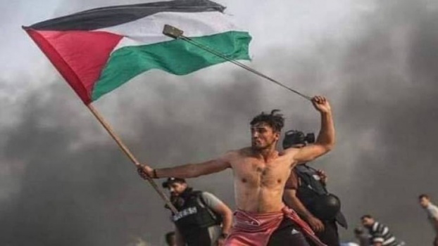 إختيار صورة من غزة كأجمل صورة للعام 2019