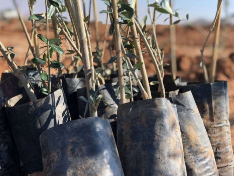 حملة أردنية لدعم المزارعين الفلسطينيين من خلال "المقـ ـاومة الخضراء"