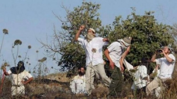 مستوطنون يُسيجون أراضي في بورين