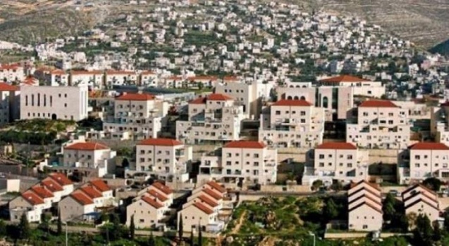 مخطط استيطاني لسرقة عشرات الدونمات جنوب قلقيلية