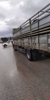 الشرطة والضابطة الجمركية في جنين يضبطان كمية من المواشي المهربة