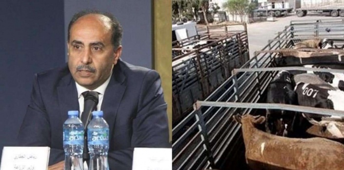 وزير الزراعة: الحكومة تناقش غدا رد الجانب الإسرائيلي على طلب استيراد العجول