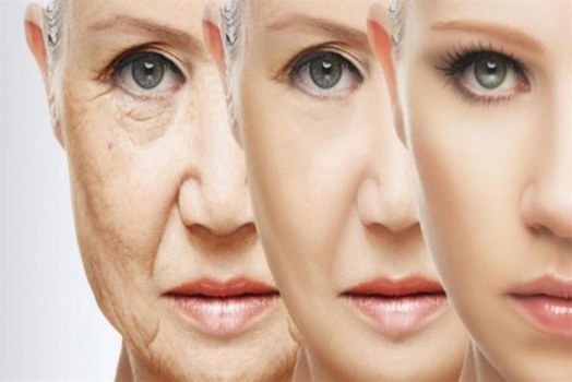العلماء يحددون 4 أنواع رئيسية للشيخوخة