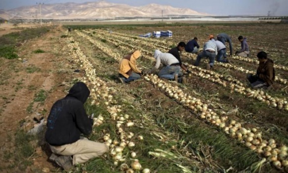 35% من الإسرائيليين يؤيدون ضم غور الأردن قبل الانتخابات
