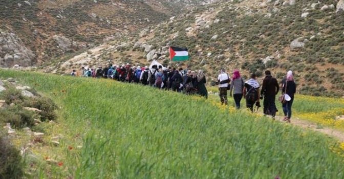 في أعقاب قرار بينيت.. 'جودة البيئة' تطالب بتوفير الحماية الدولية للموارد الطبيعية