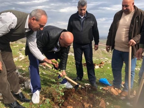 زراعة جنين تحتفي بيوم الشجرة
