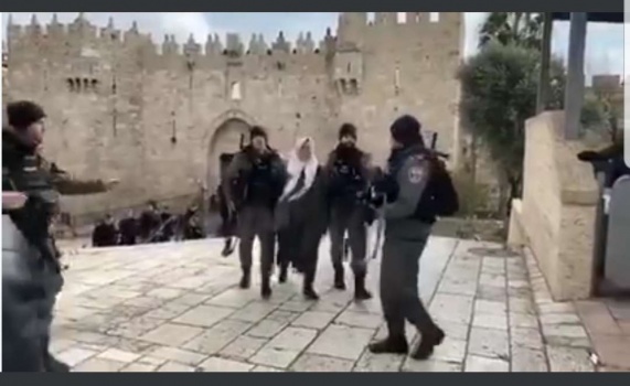 شاهد: اعتقال سيدة بزعم محاولة تنفيذ عملية طعن في القدس