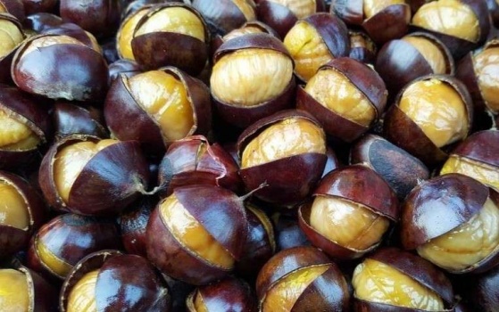 كماليات شتاء الفلسطينيين.. البطاطا الحلوة والكستناء