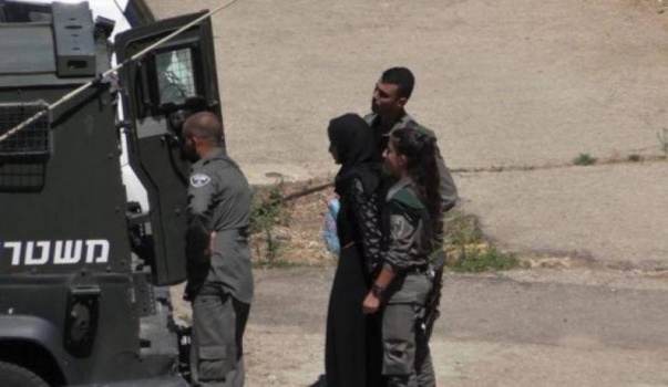 اعتقال فتاة من مخيم الدهيشة على حاجز عسكري شمال بيت لحم